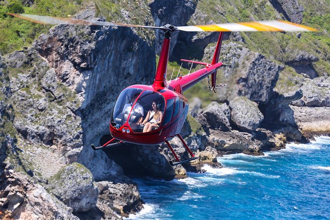 Punta Cana Helicopter Ride 10 minutes 
